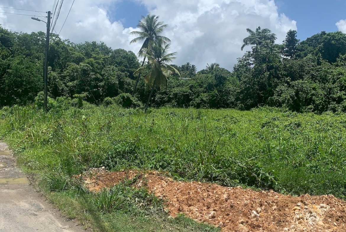 Land for sale in Ciceron
