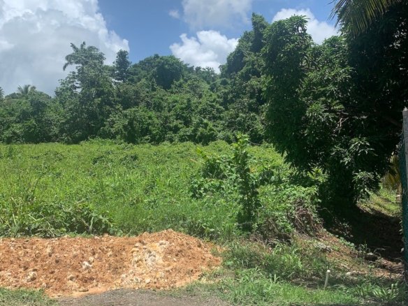 Land for sale in Ciceron - Castries