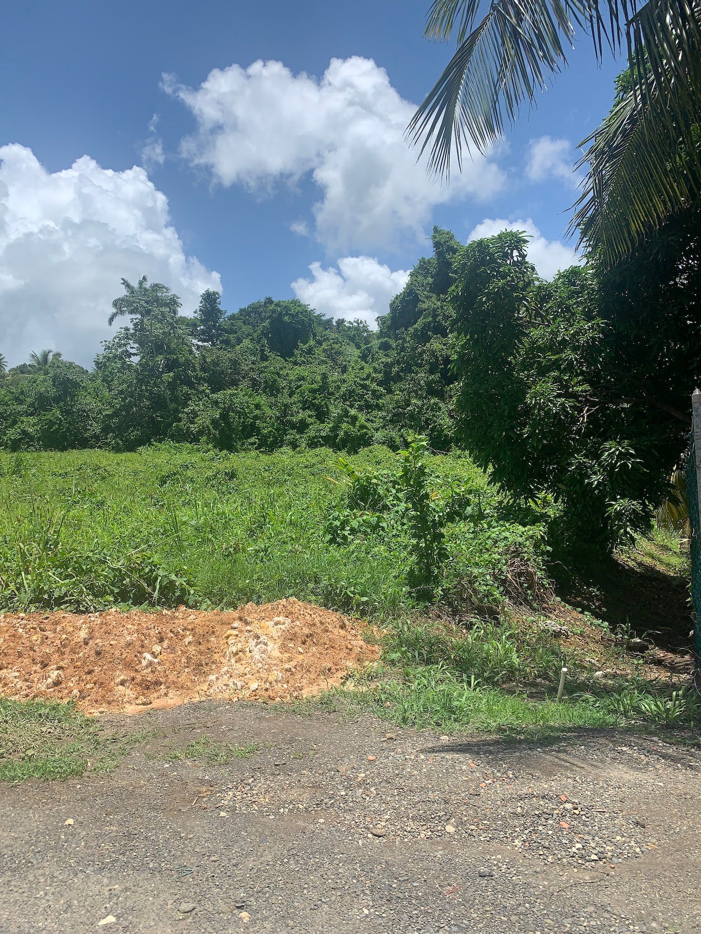 Land for sale in Ciceron - Castries