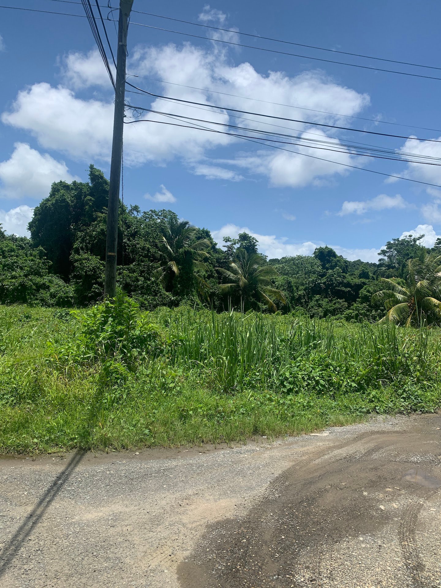 Flat Land for sale in Ciceron - Castries