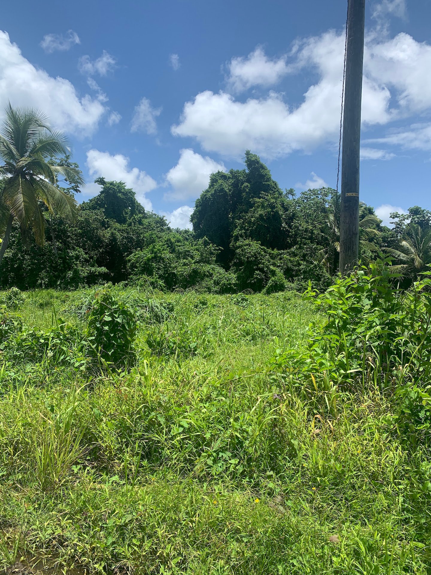Property for sale in Ciceron - Castries