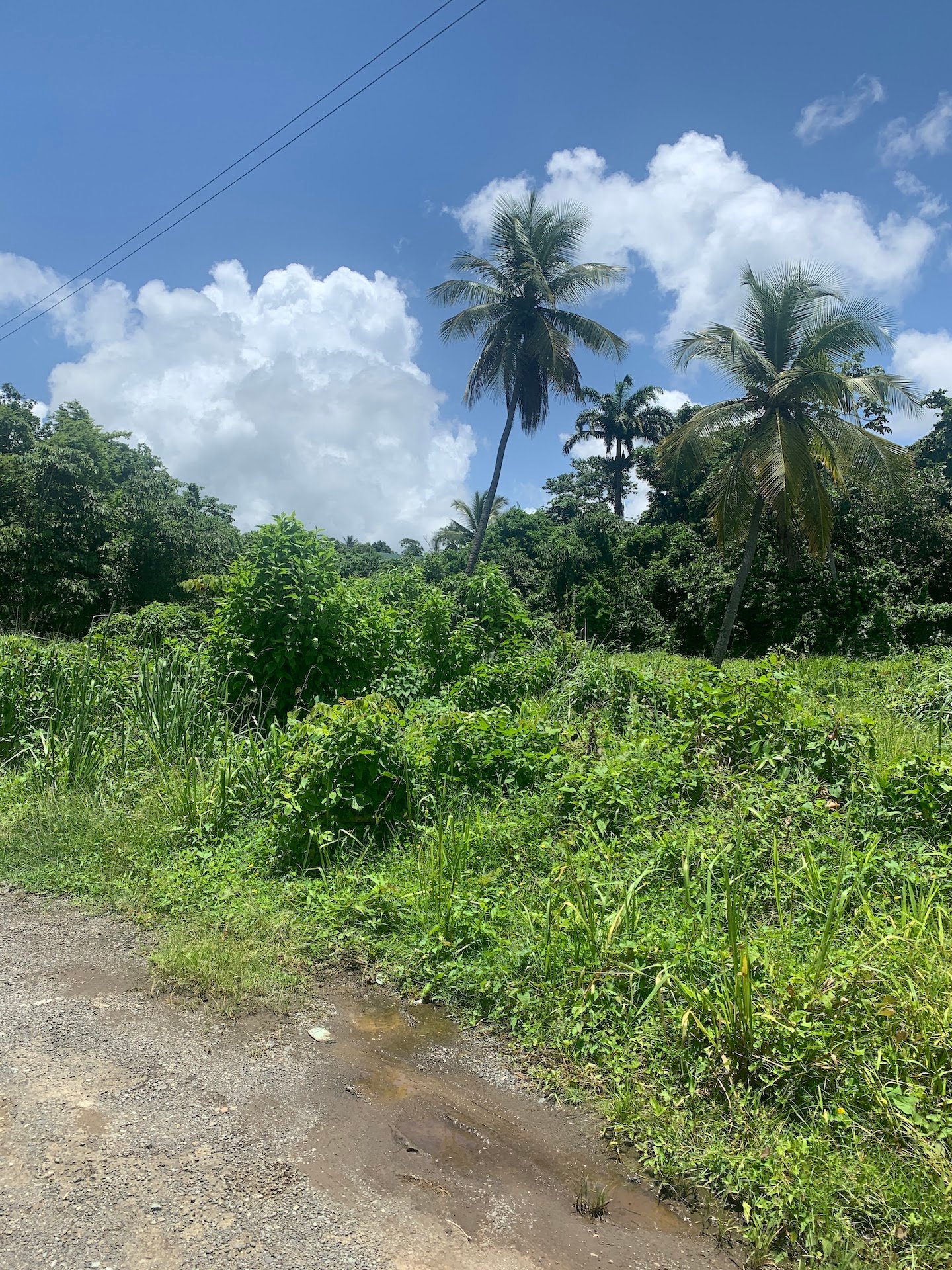 Property for sale in Ciceron - Castries