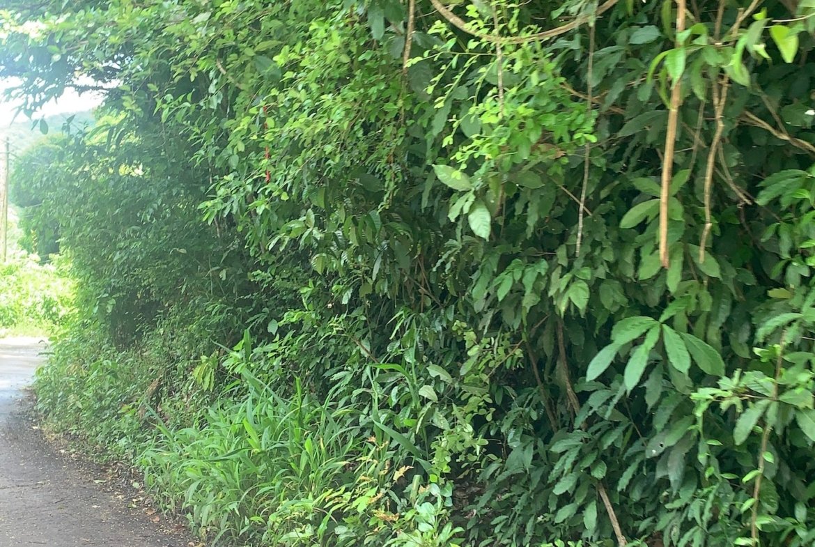 Residential Land for Sale in Marigot Bay