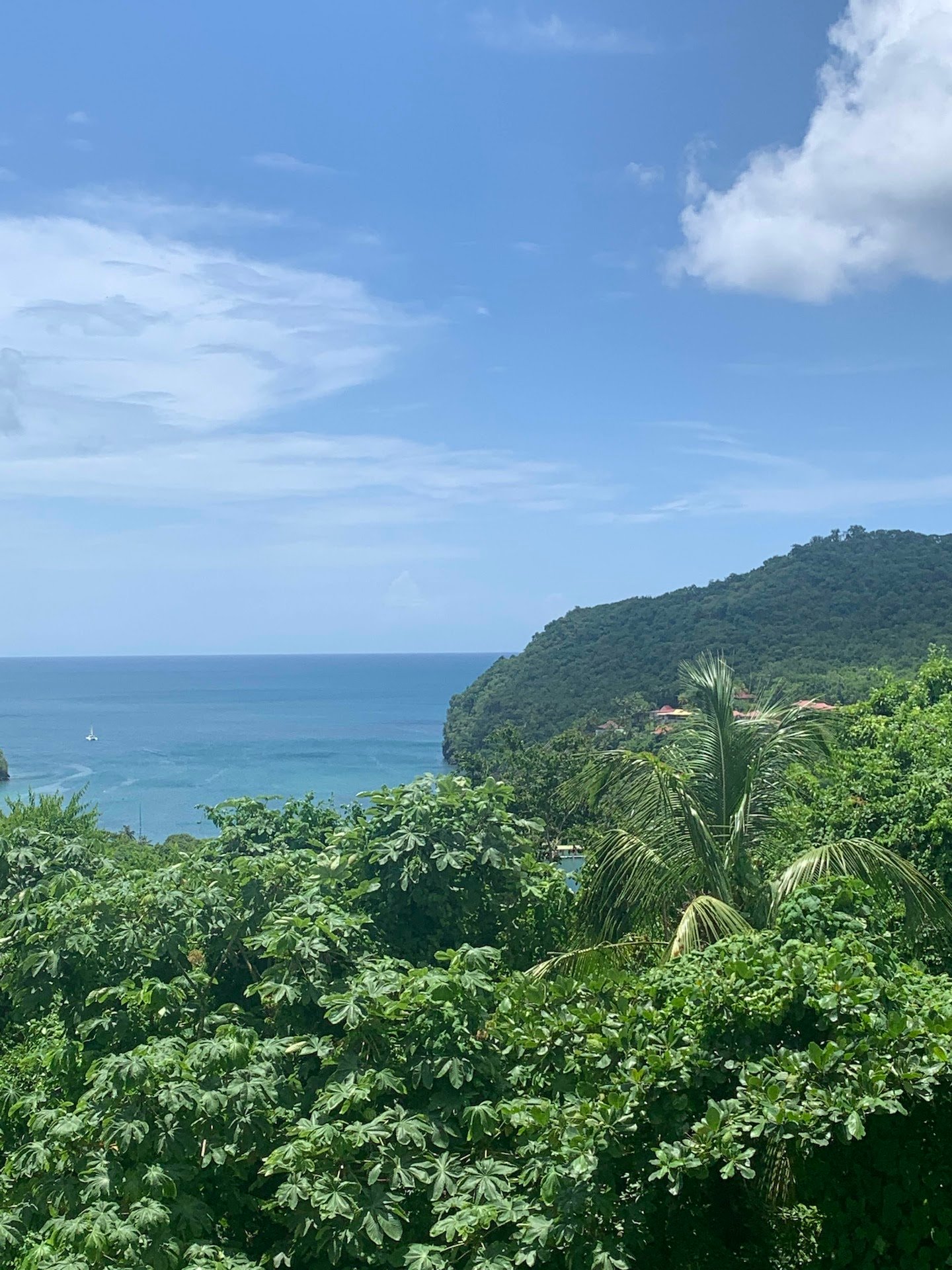 Sea View Land for Sale to build a home on in Marigot Bay 2