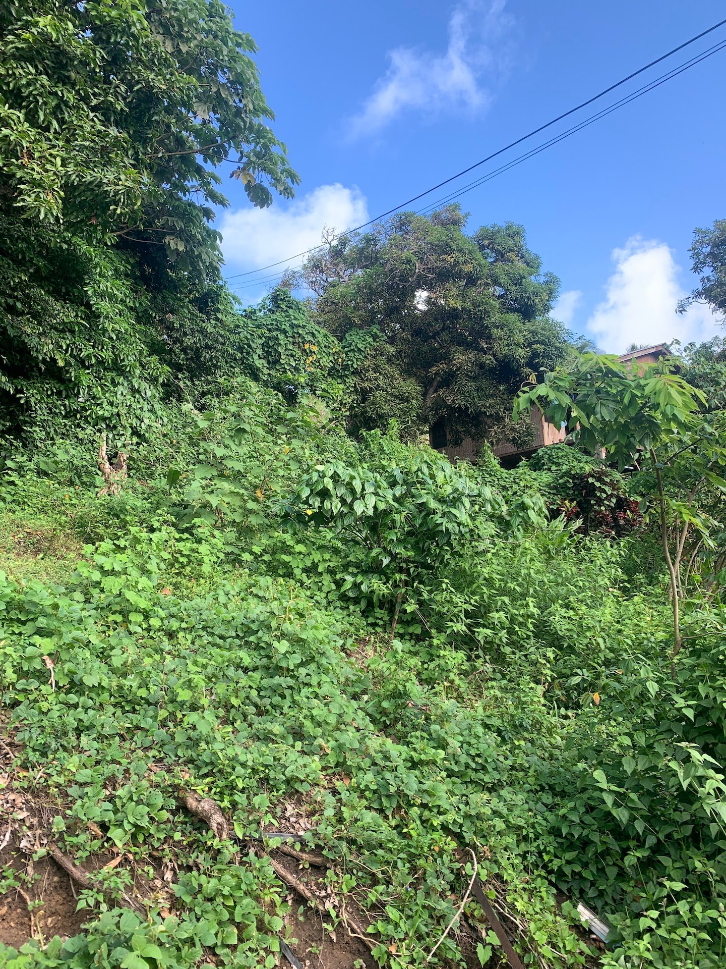 Satellite view of Land for sale in Desrameaux, Gros Islet 9