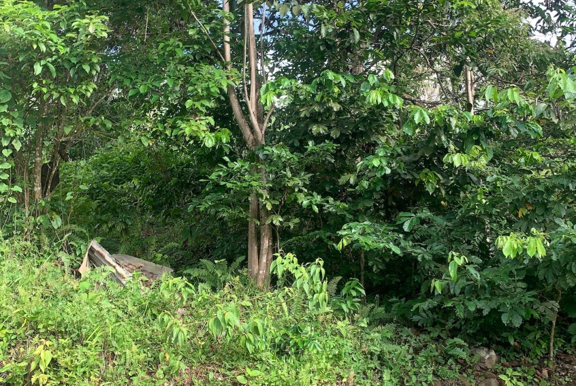 Satellite view of Land for sale in Desrameaux, Gros Islet 8