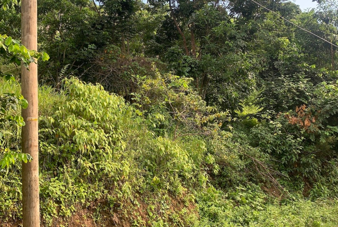 Satellite view of Land for sale in Desrameaux, Gros Islet 7