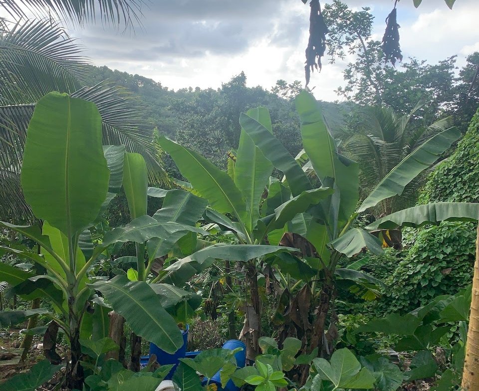 Satellite view of Land for sale in Desrameaux, Gros Islet 5