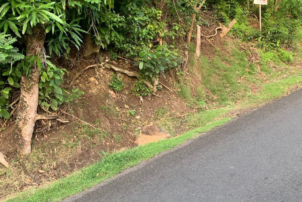 Satellite view of Land for sale in Desrameaux, Gros Islet 2