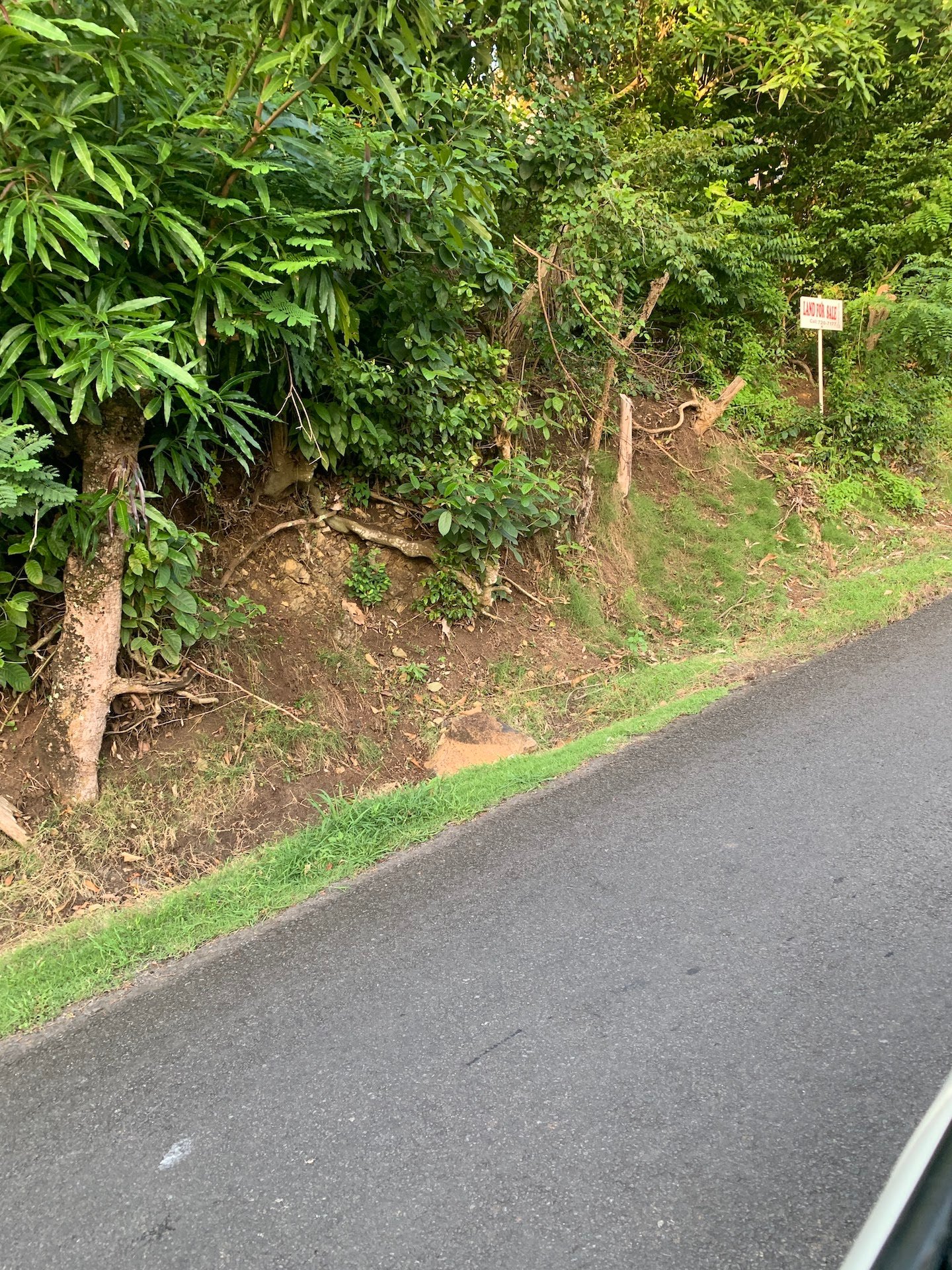 Satellite view of Land for sale in Desrameaux, Gros Islet 2