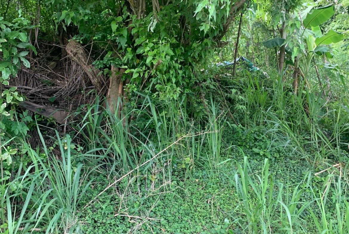 land for sale in desrameaux