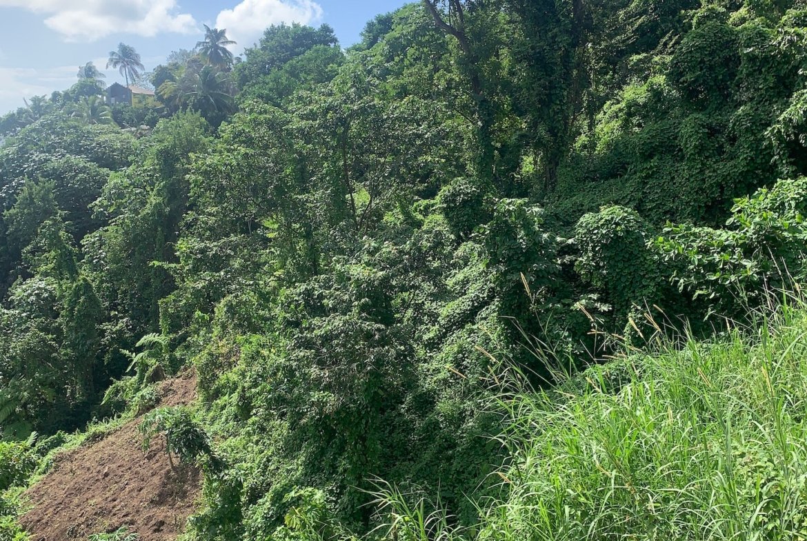 1 Acre of Land for sale in Ciceron, Castries