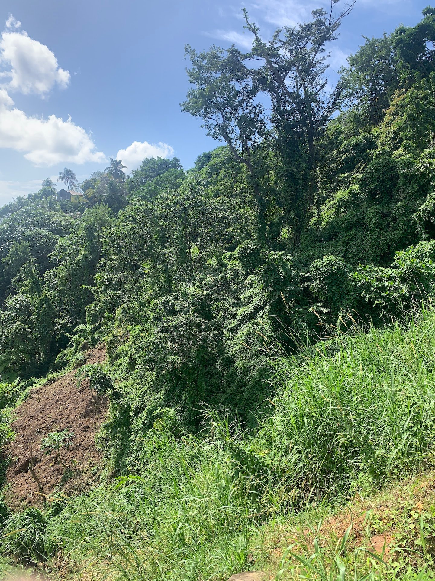 1 Acre of Land for sale in Ciceron, Castries