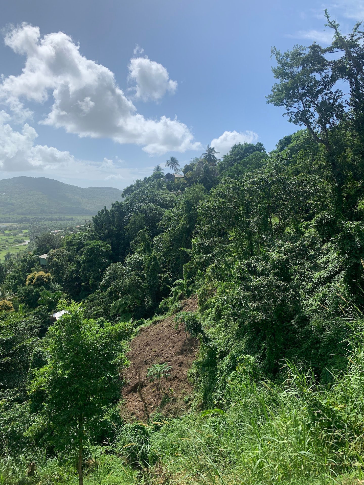 1 Acre of Land for sale in Ciceron