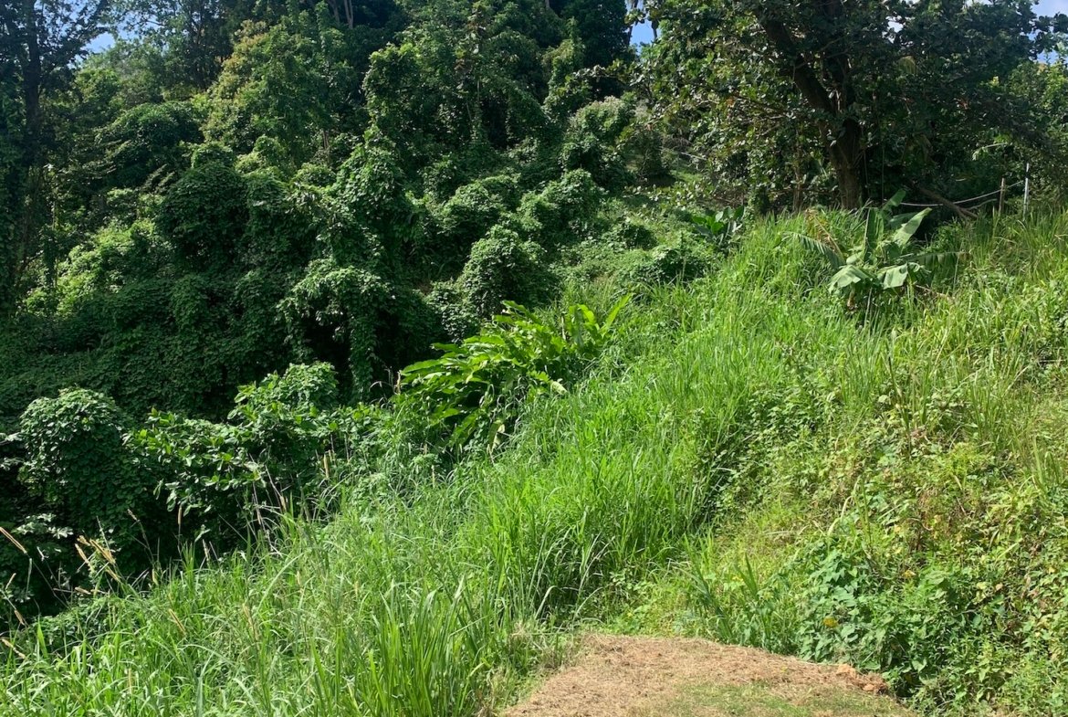 1+ Acre of Land for sale in Ciceron