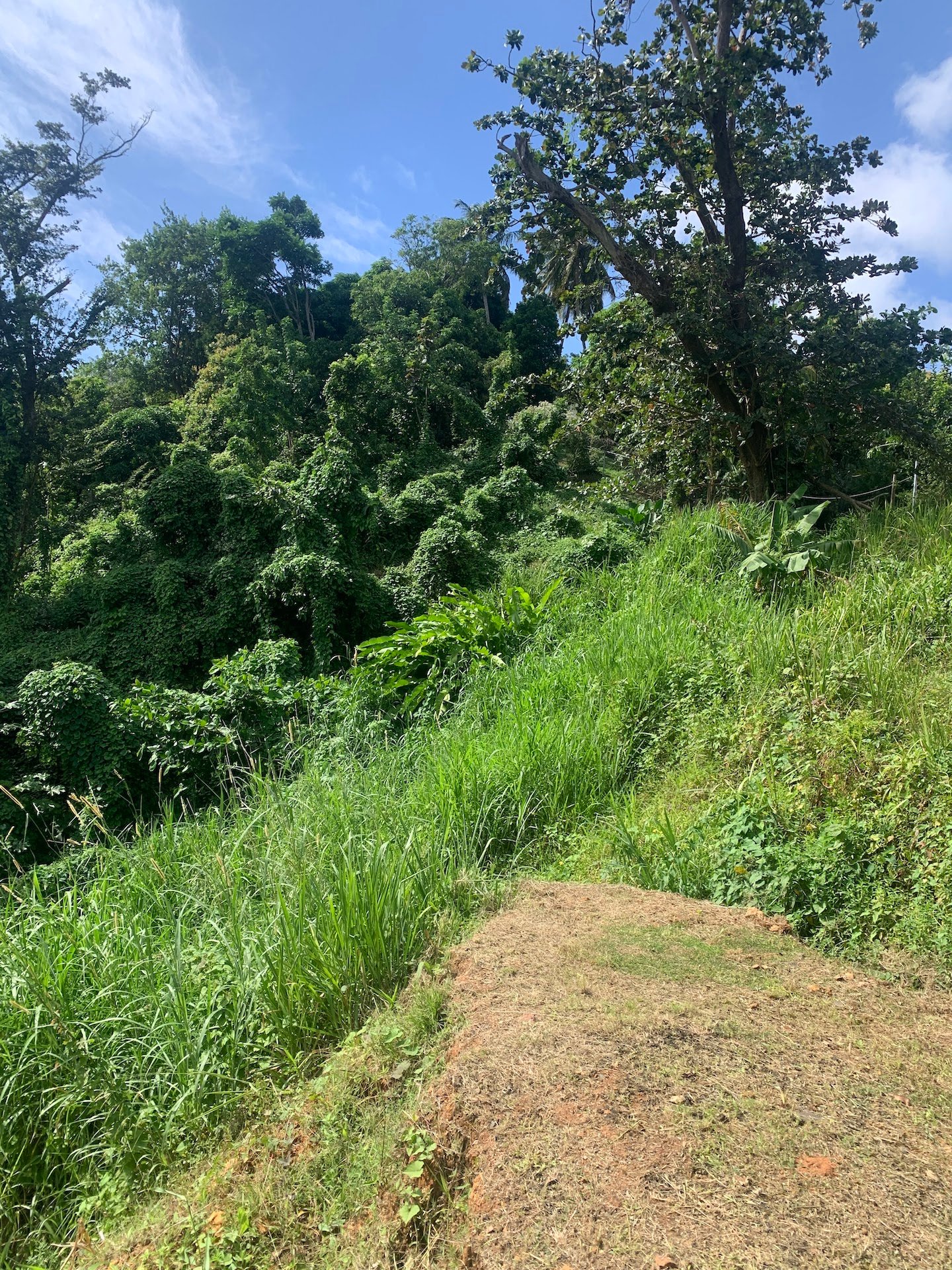 1+ Acre of Land for sale in Ciceron