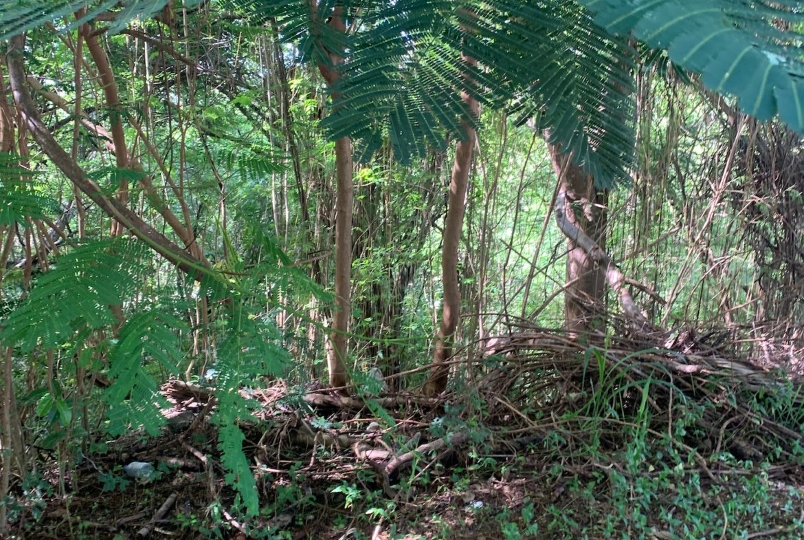 Lot For Sale In Cap Estate