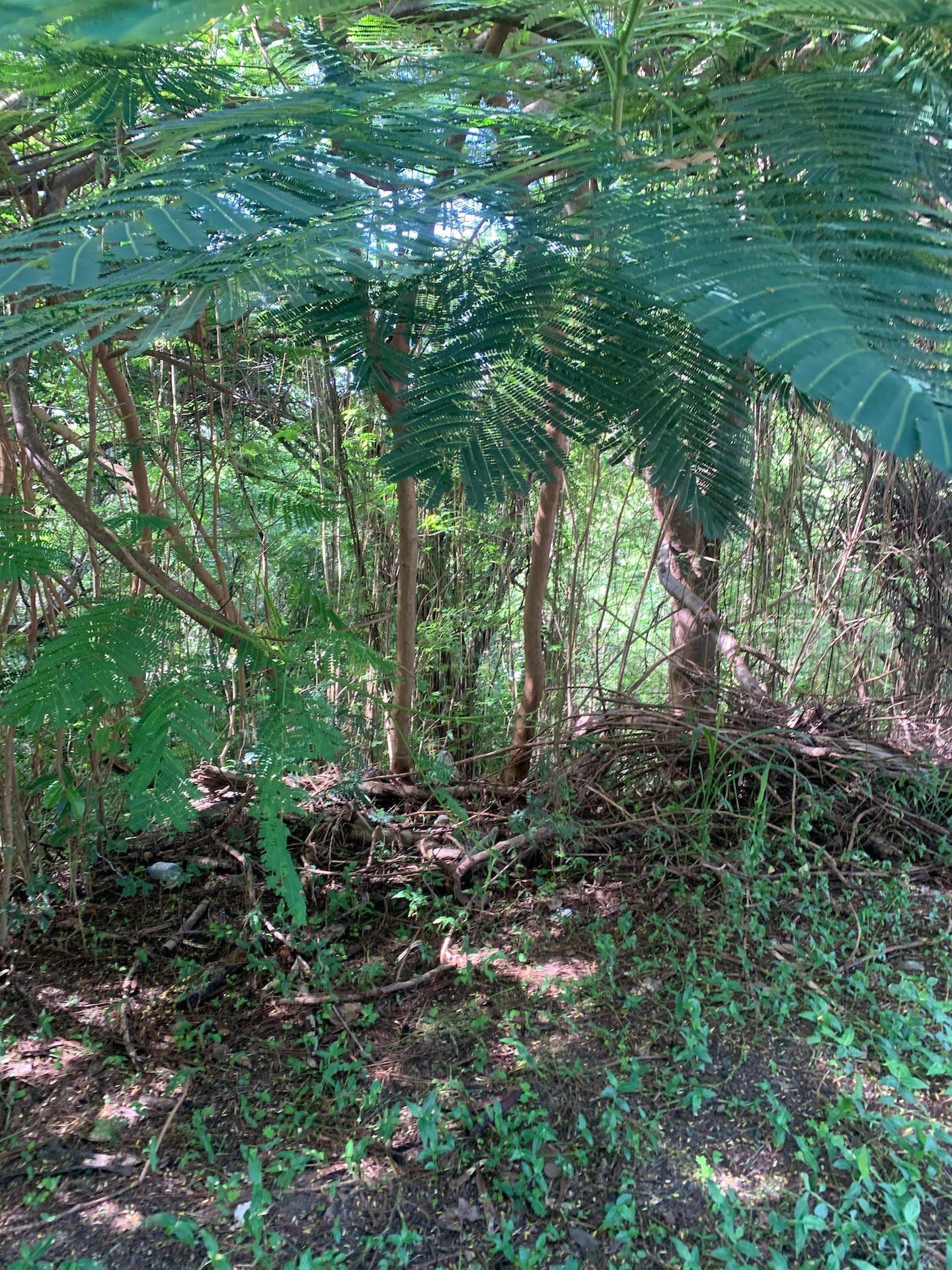 Lot For Sale In Cap Estate