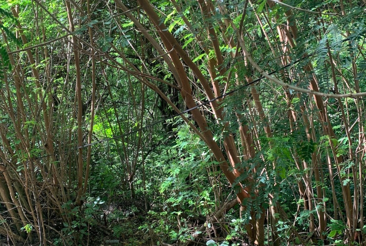 Lot For Sale In Cap Estate, Gros Islet