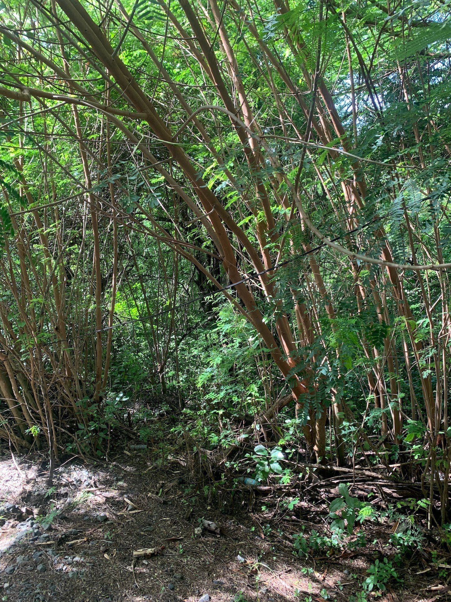 Lot For Sale In Cap Estate, Gros Islet