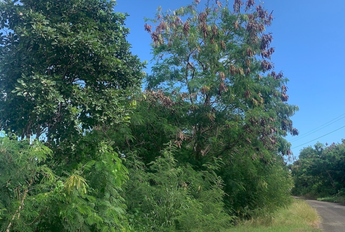 Beautiful Land for Sale in Gated Community located in Monchy, Saint Lucia