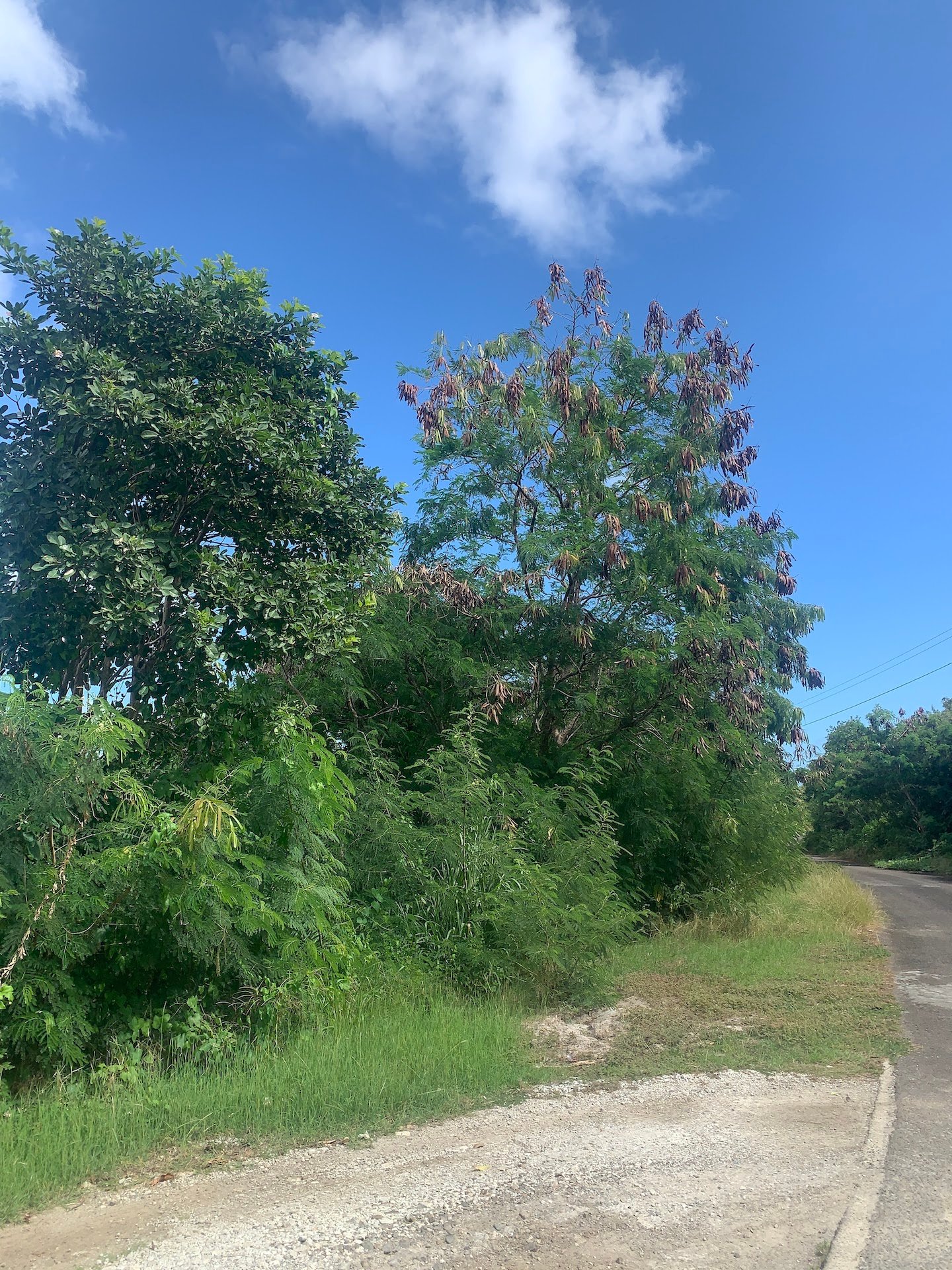 Beautiful Land for Sale in Gated Community located in Monchy, Saint Lucia