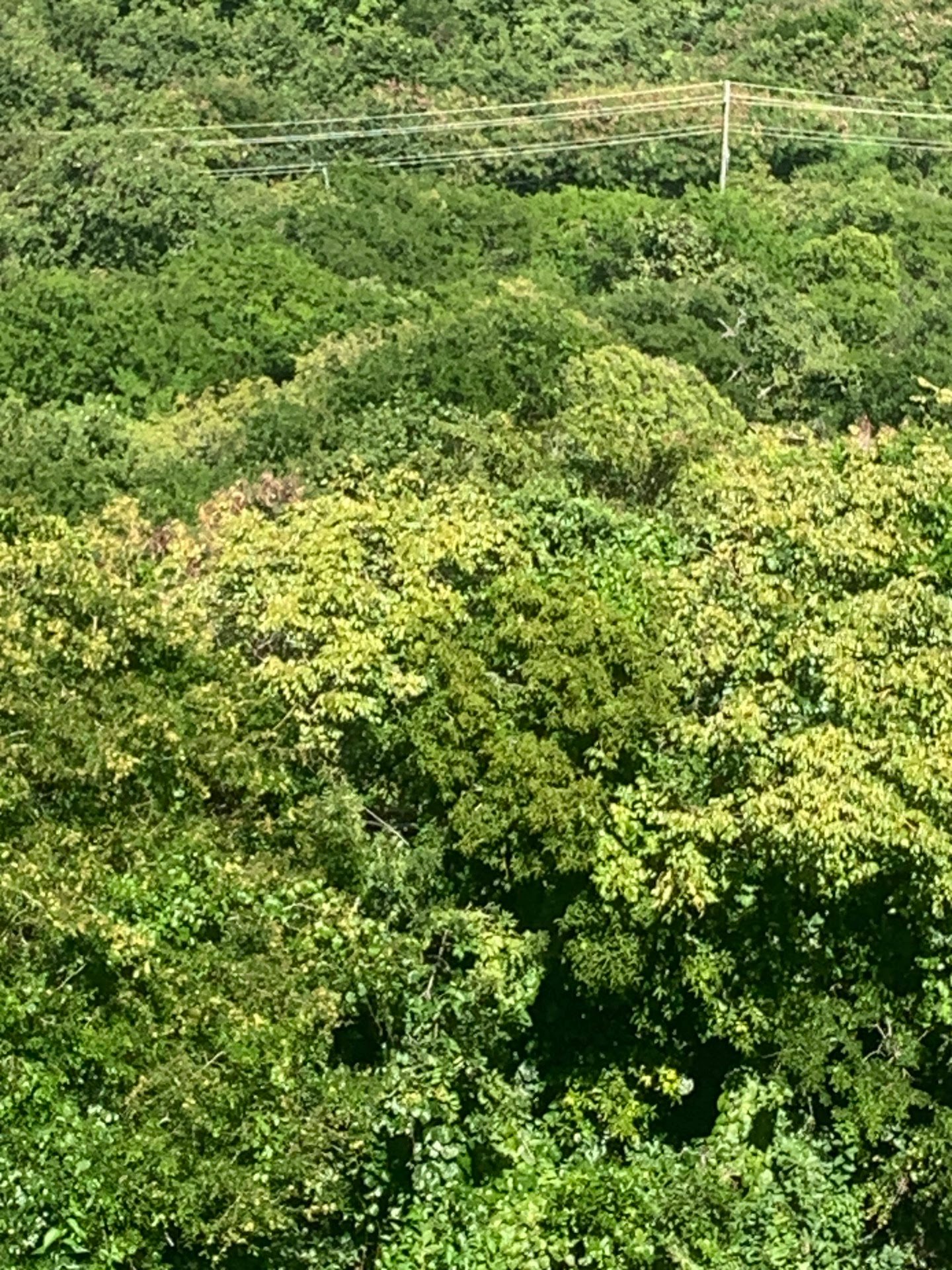 Beautiful Land for Sale in Gated Community located in Gros Islet, St Lucia