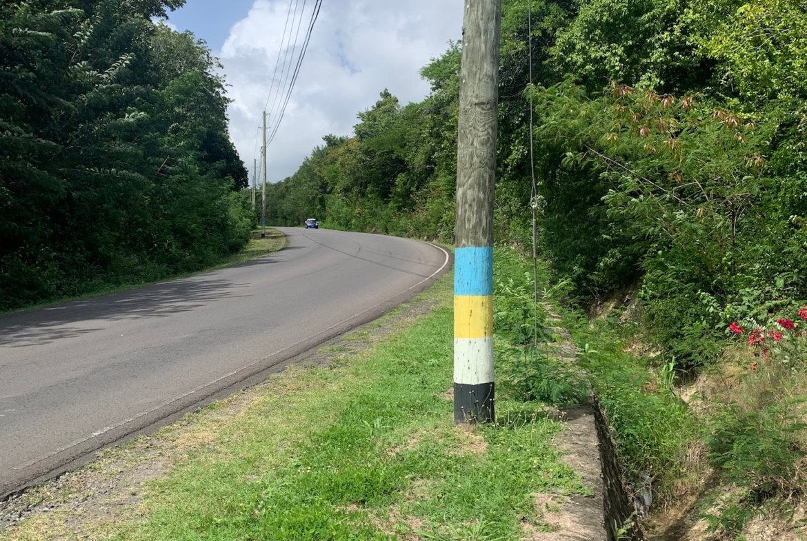 Land for Sale in Established Subdivision in Dennery 5
