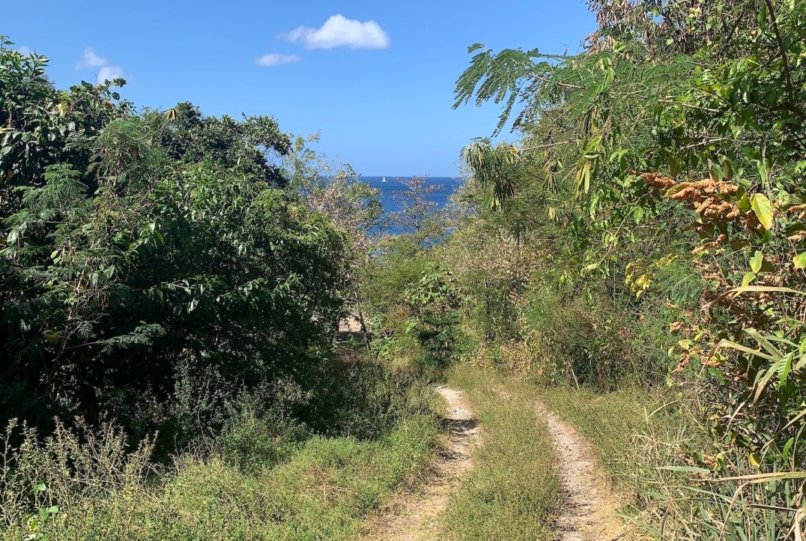 Beachfront Land for Sale in Anse La Raye Saint Lucia