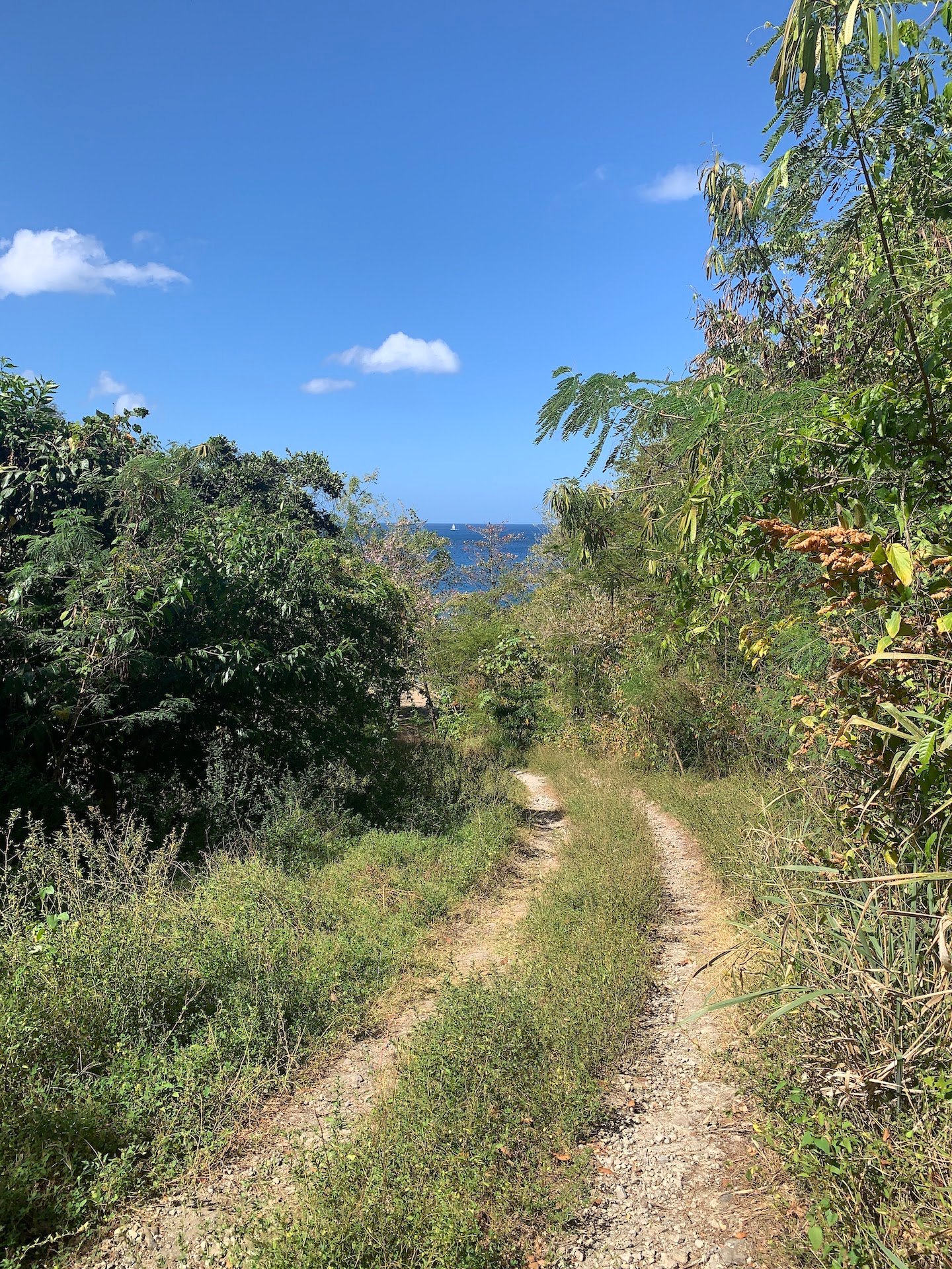 Beachfront Land for Sale in Anse La Raye Saint Lucia