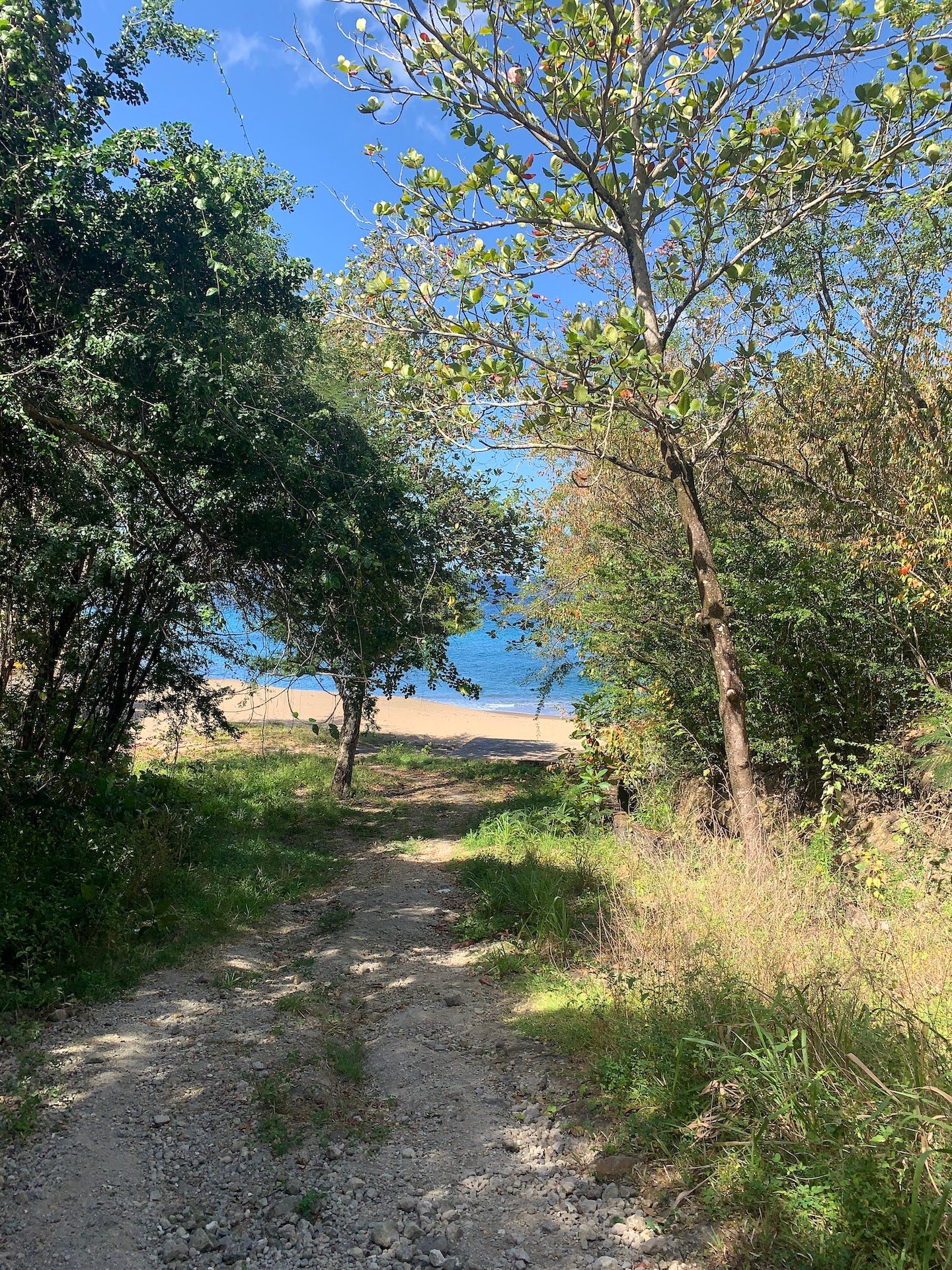 Beachfront Land for Sale in Anse La Raye