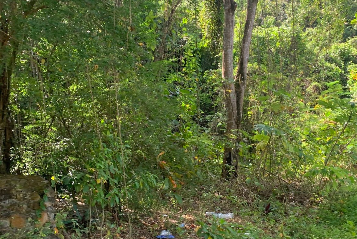 Beachfront Land for Sale in Anse La Raye St Lucia