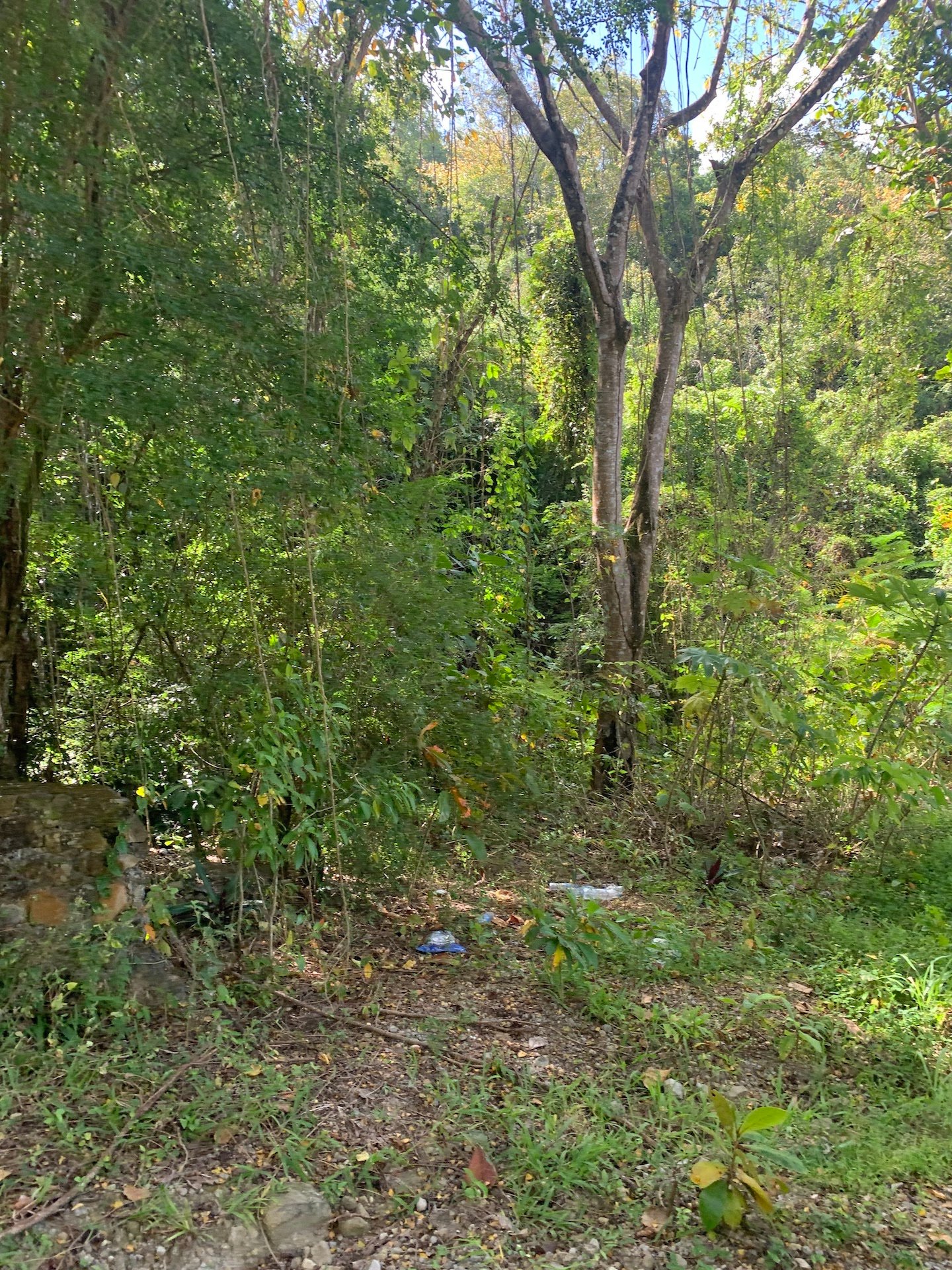Beachfront Land for Sale in Anse La Raye St Lucia