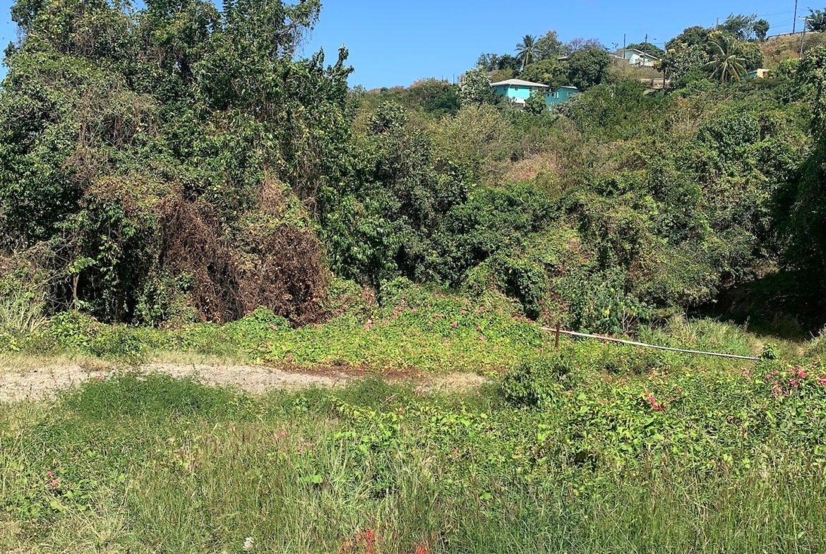 Beachfront Real Estate for Sale in Anse La Raye St Lucia