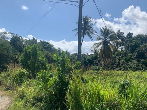 Land for Sale in Millennium Heights, Castries