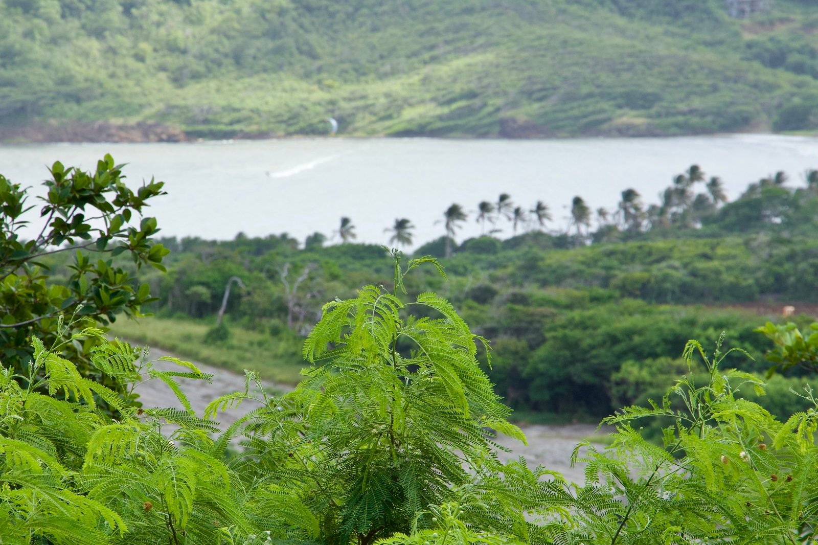 Ocean view Land for Sale in Cap Estate