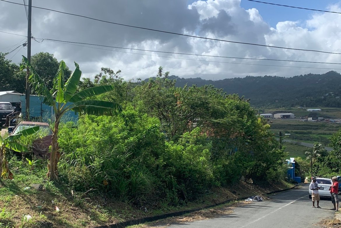 Land for Sale In Ciceron!