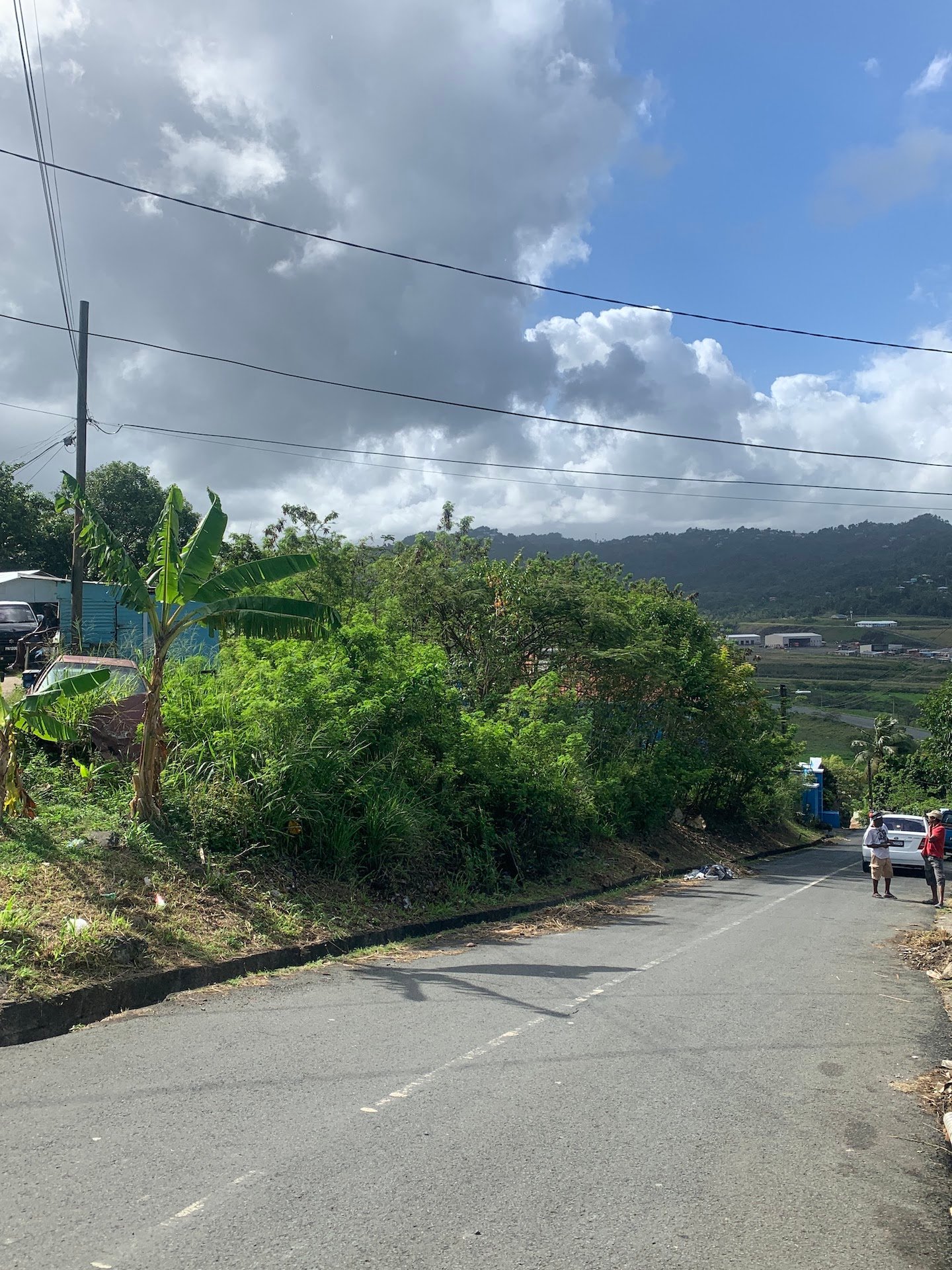 Land for Sale In Ciceron!
