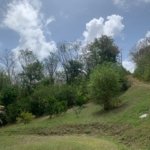 Riverfront Land For Sale In Beauchamp