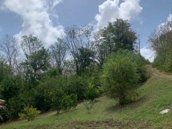 Riverfront Land For Sale In Beauchamp