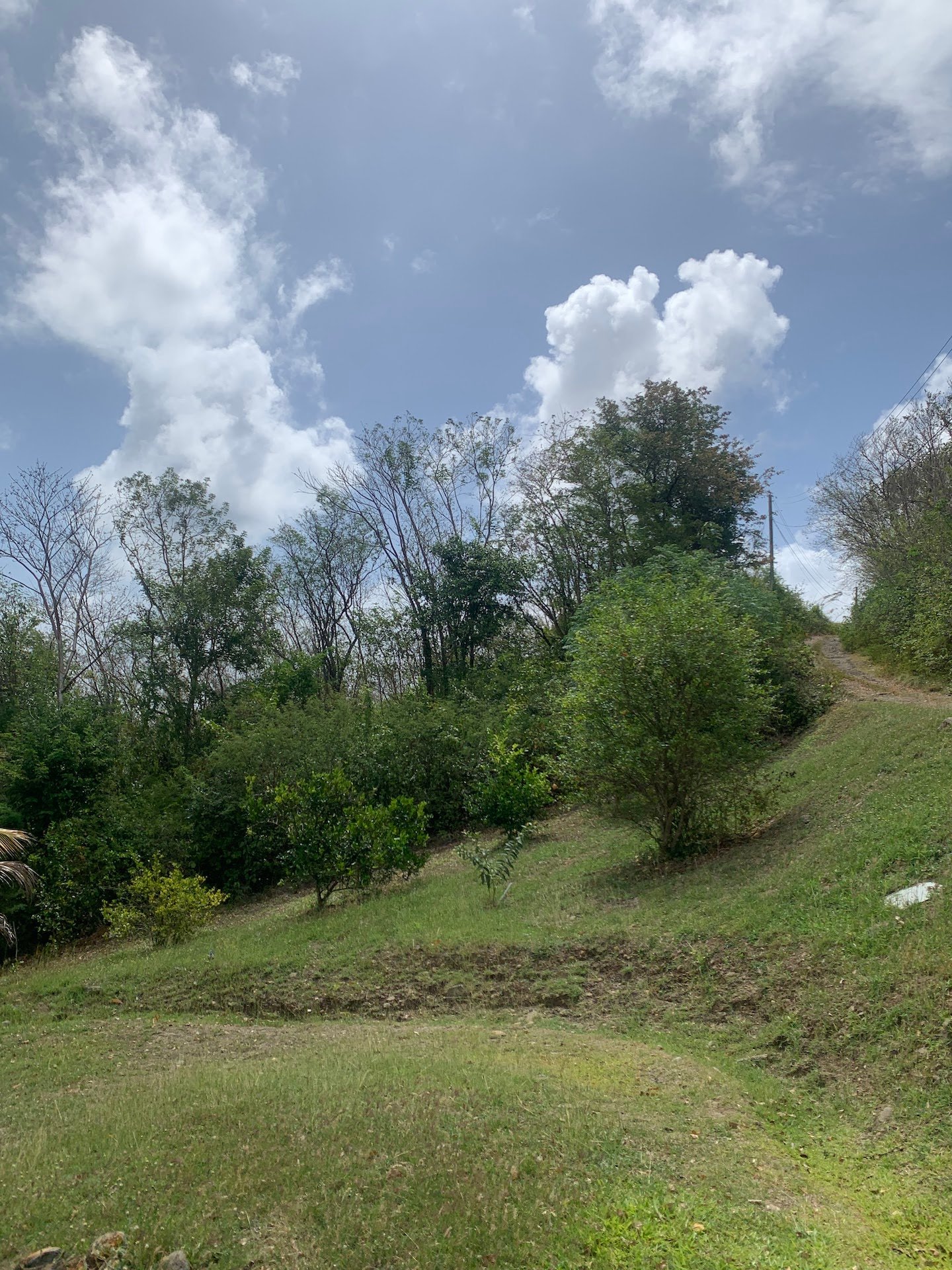 Riverfront Land For Sale In Beauchamp