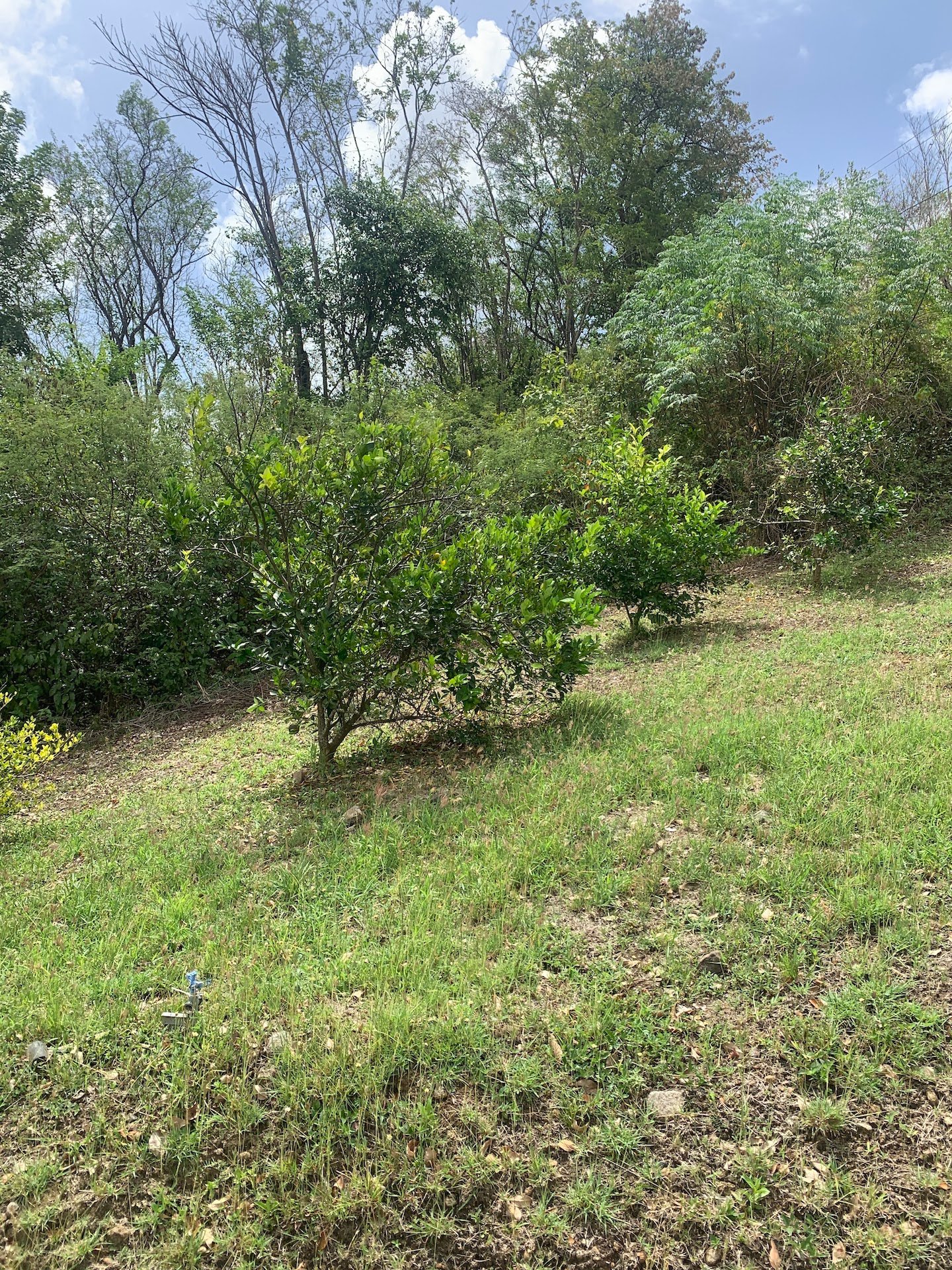 Riverfront Land For Sale In Beauchamp, Saint Lucia