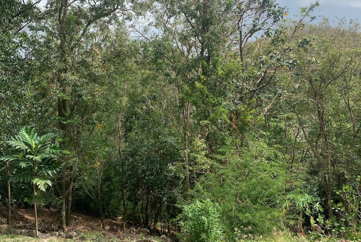 Riverfront Land For Sale In Beauchamp, St. Lucia