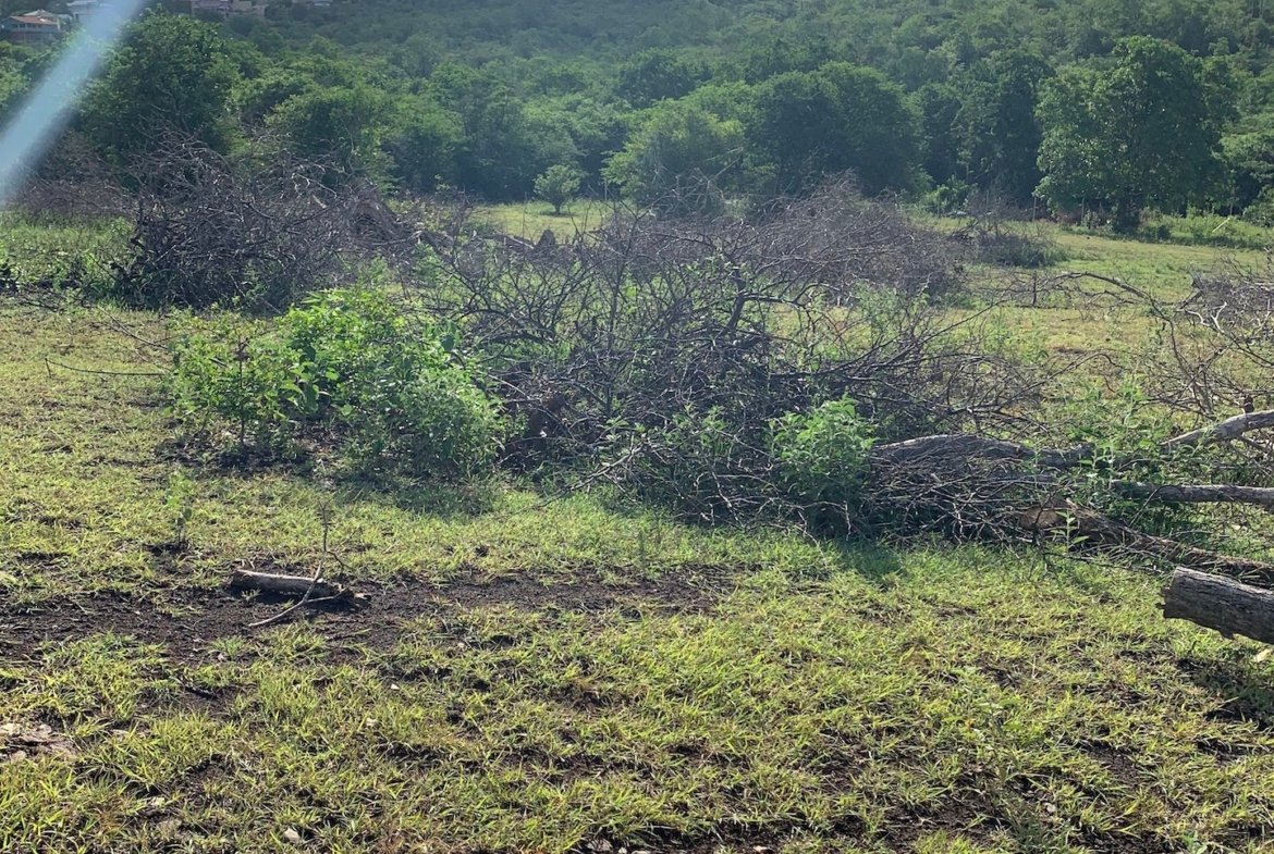 Beautiful Land for Sale in Bellvue -Gros Islet