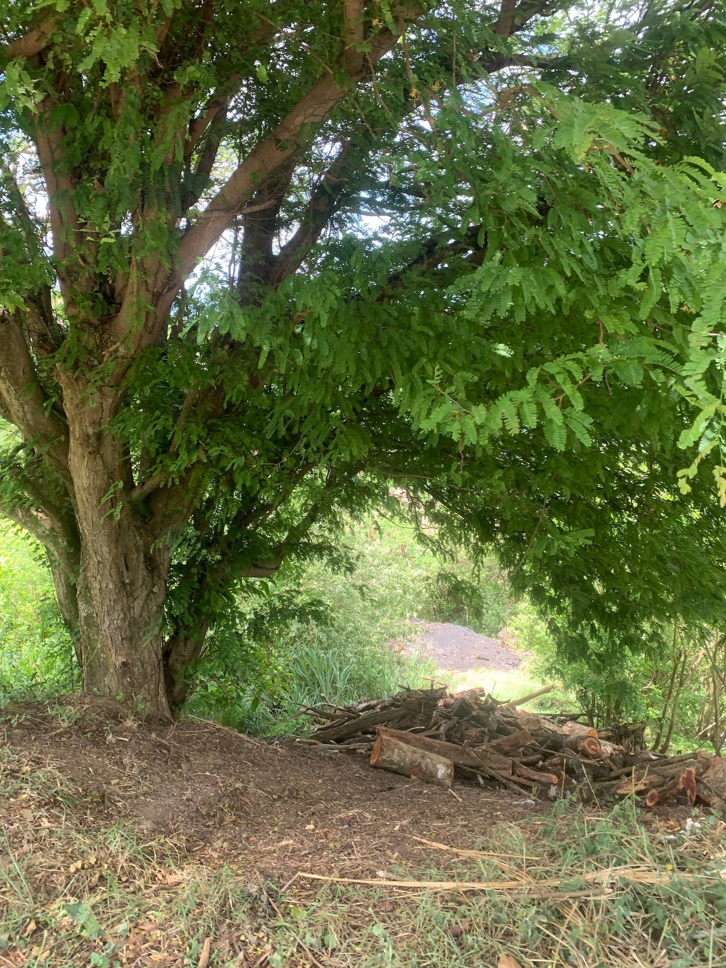 5 Acres Of Land for Sale In La Borne, Gros Islet 7