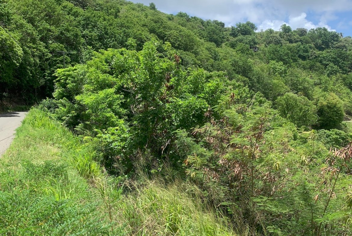 5 Acres Of Land for Sale In La Borne, Gros Islet 6