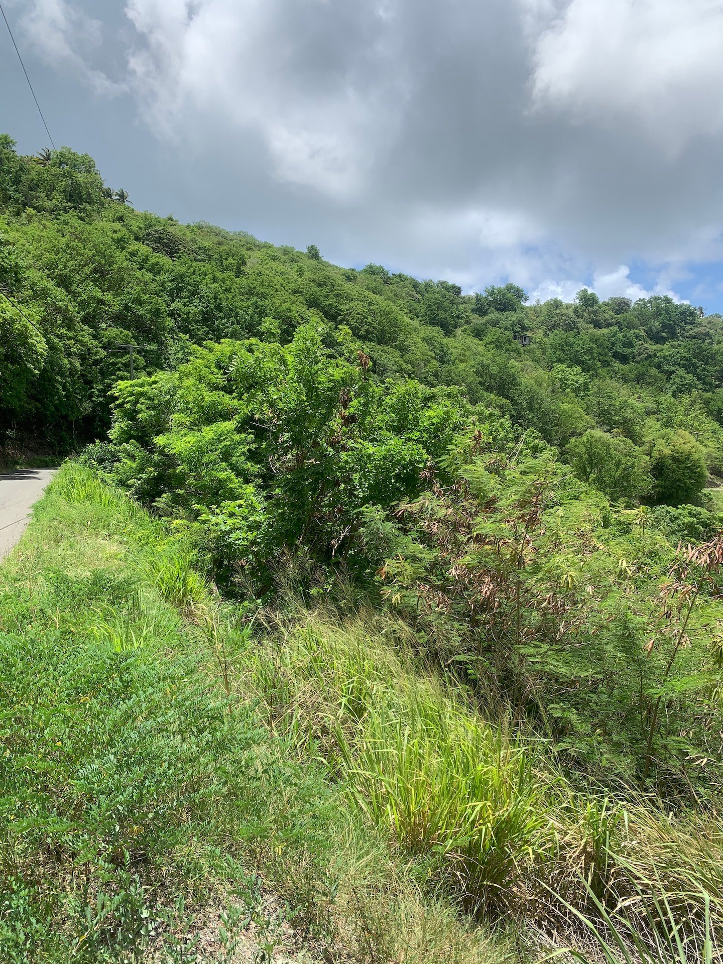 5 Acres Of Land for Sale In La Borne, Gros Islet 6