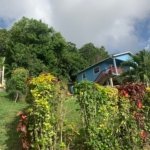 Great Valued Land For Sale In Bois D'Orange