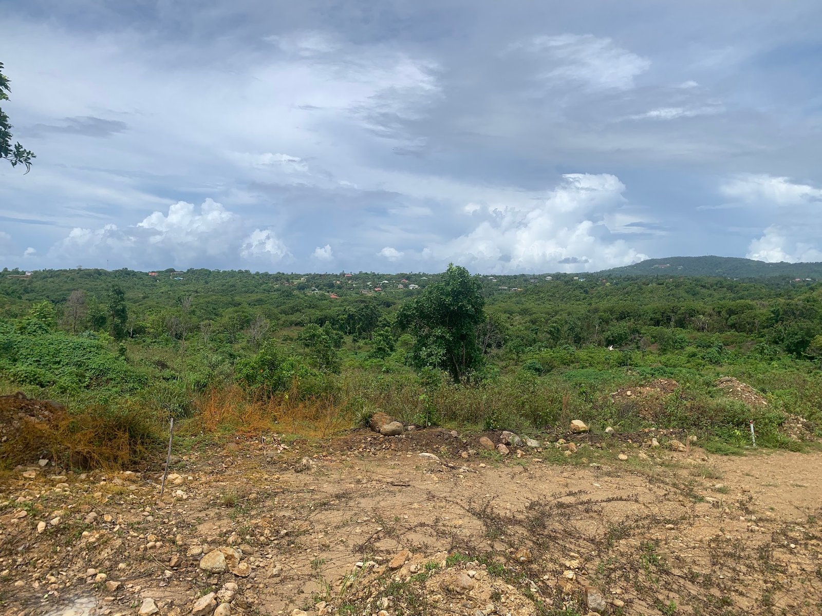 Multiple Lots of Land For Sale In Dugard Ridge