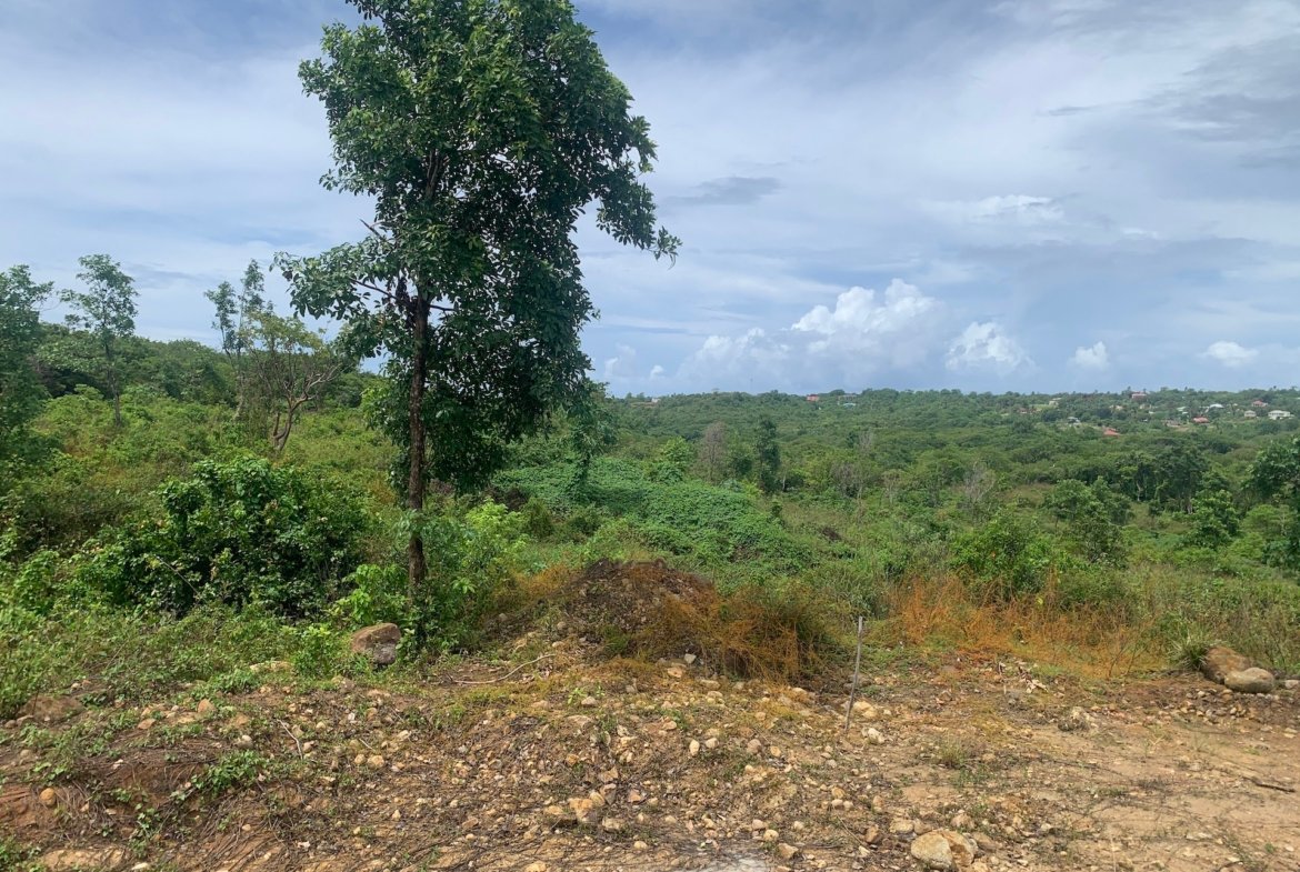 Multiple Lots of Land For Sale In Dugard Ridge Micoud